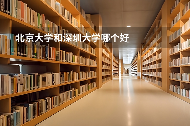 北京大学和深圳大学哪个好