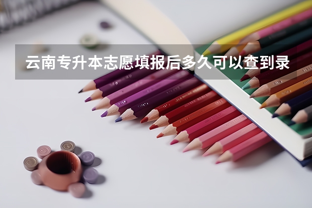 云南专升本志愿填报后多久可以查到录取情况