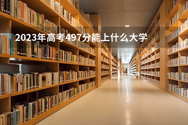 2023年高考497分能上什么大学