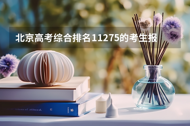 北京高考综合排名11275的考生报什么大学