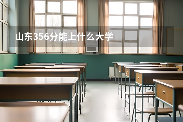 山东356分能上什么大学