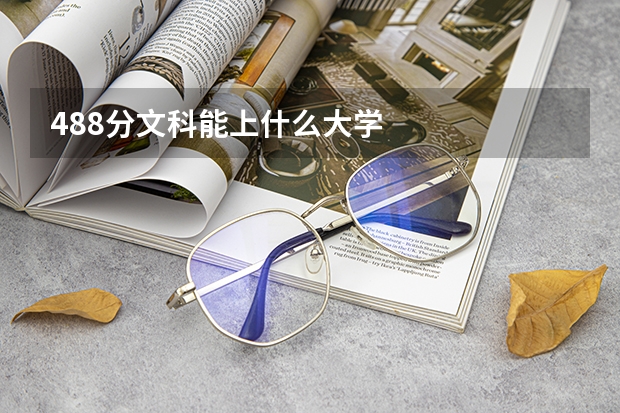 488分文科能上什么大学