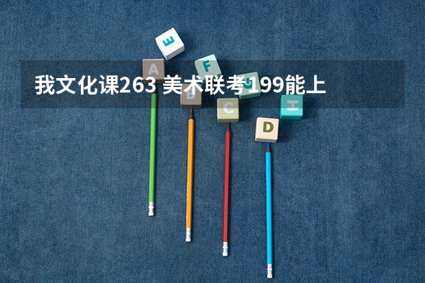 我文化课263 美术联考199能上什么好点的 保底点的大学啊