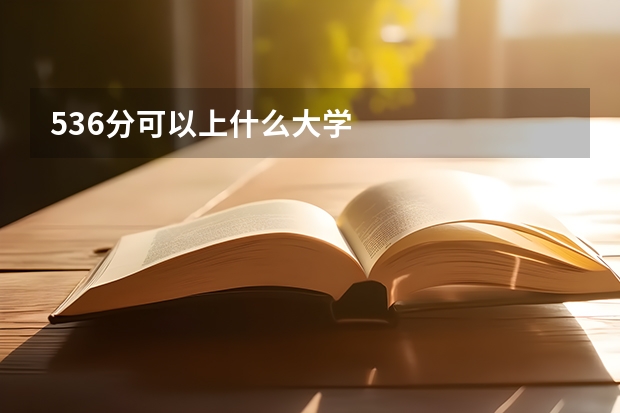 536分可以上什么大学