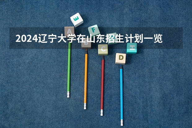 2024辽宁大学在山东招生计划一览表