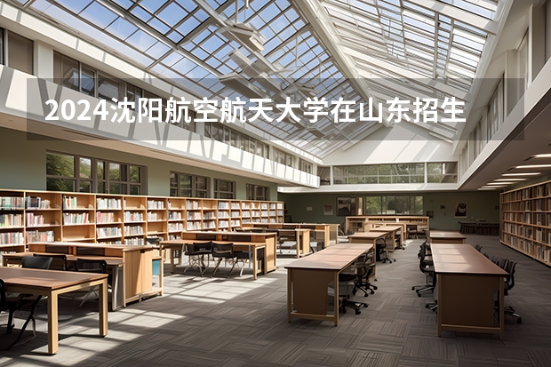 2024沈阳航空航天大学在山东招生计划一览表