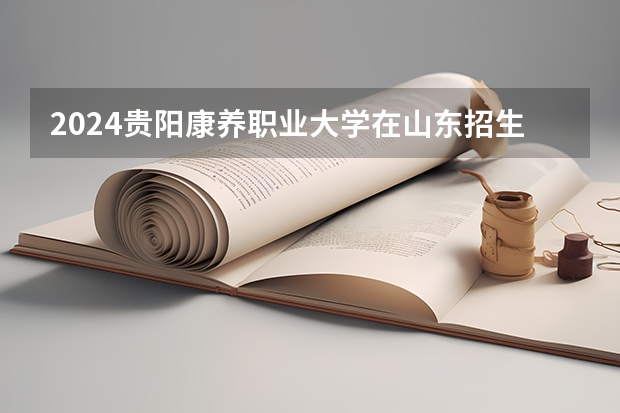 2024贵阳康养职业大学在山东招生计划一览表