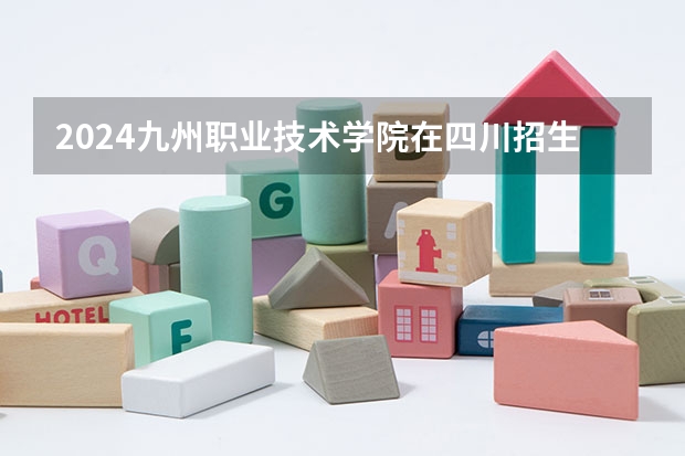 2024九州职业技术学院在四川招生计划一览表