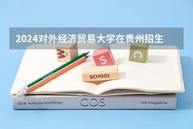 2024对外经济贸易大学在贵州招生计划一览表