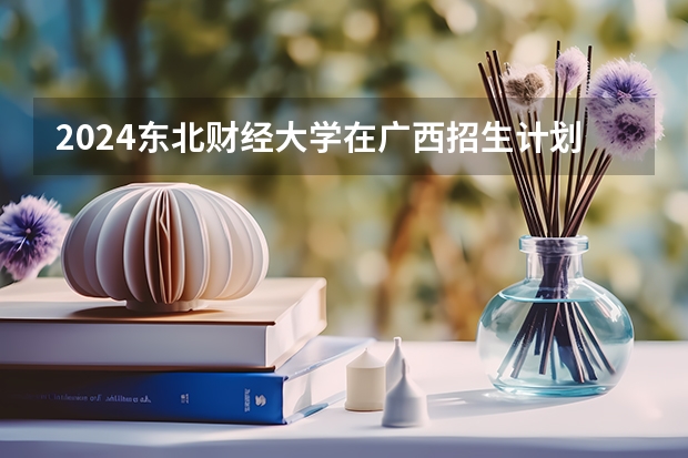 2024东北财经大学在广西招生计划一览表