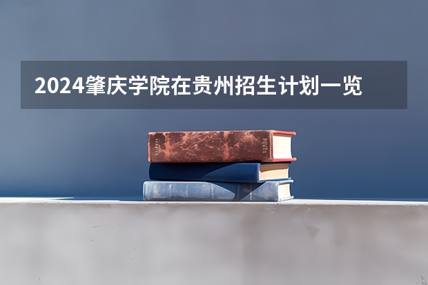 2024肇庆学院在贵州招生计划一览表