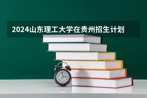 2024山东理工大学在贵州招生计划一览表