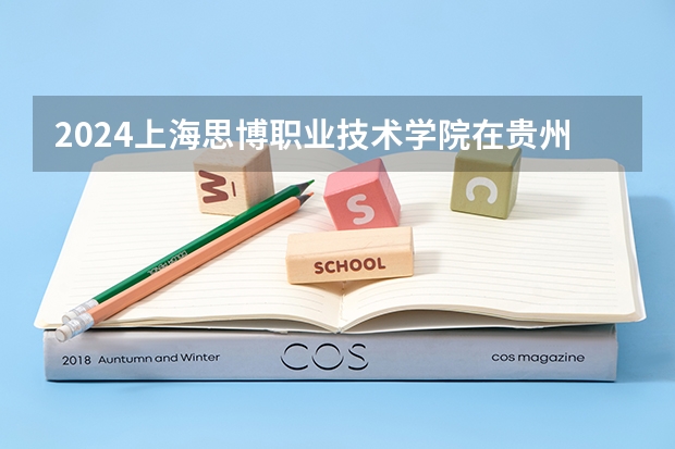 2024上海思博职业技术学院在贵州招生计划一览表