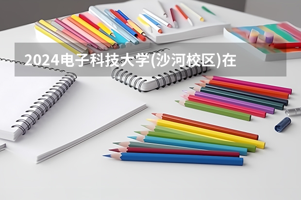 2024电子科技大学(沙河校区)在广西招生计划一览表