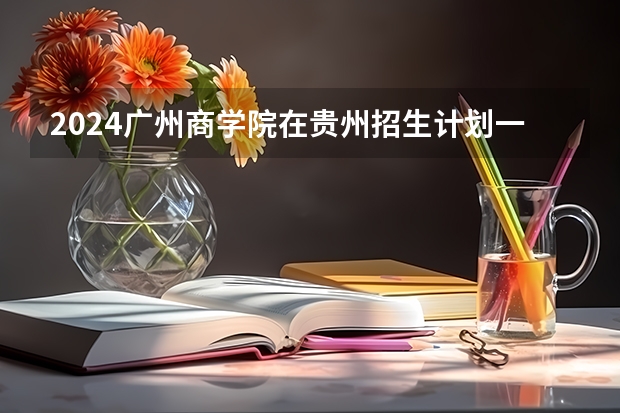 2024广州商学院在贵州招生计划一览表