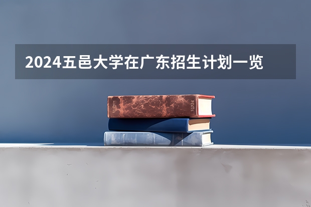 2024五邑大学在广东招生计划一览表