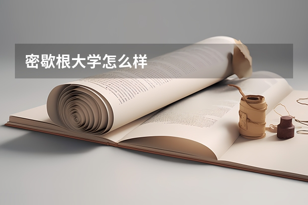 密歇根大学怎么样
