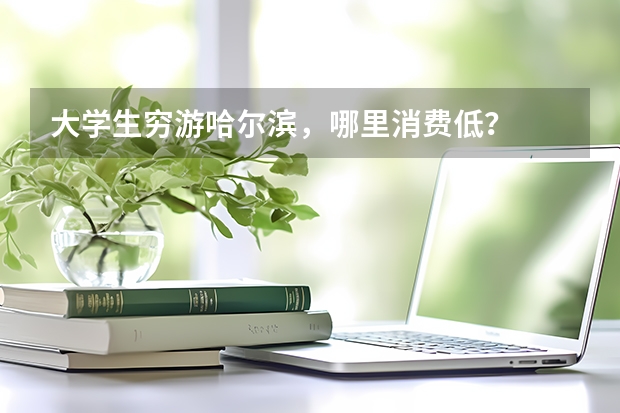 大学生穷游哈尔滨，哪里消费低？