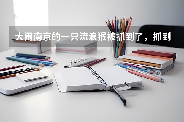 大闹南京的一只流浪猴被抓到了，抓到这猴子该如何处理？