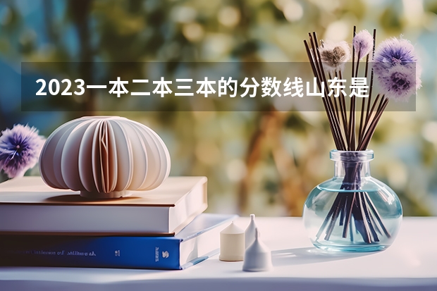 2023一本二本三本的分数线山东是多少