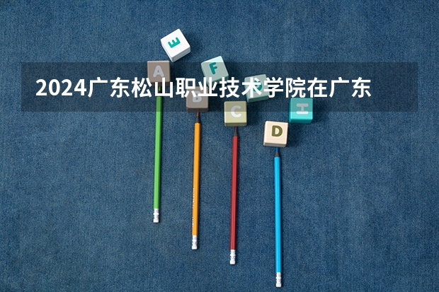 2024广东松山职业技术学院在广东招生计划一览表
