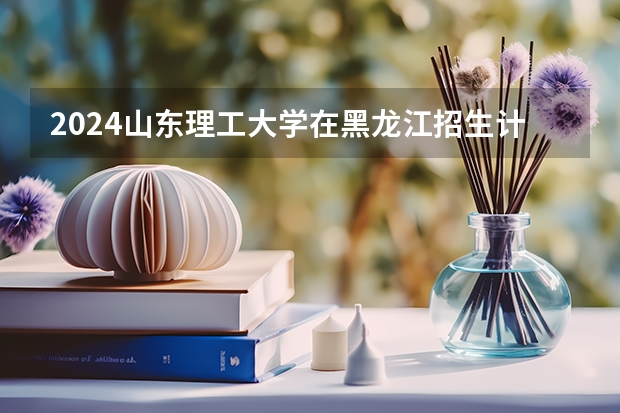 2024山东理工大学在黑龙江招生计划一览表