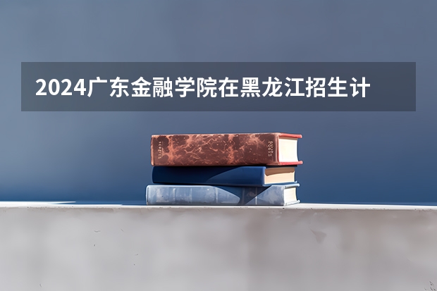 2024广东金融学院在黑龙江招生计划一览表
