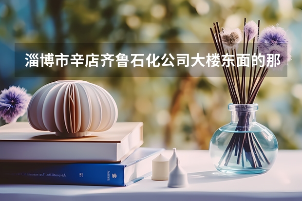 淄博市辛店齐鲁石化公司大楼东面的那个职业学院叫什么名字，什么性质的学校？