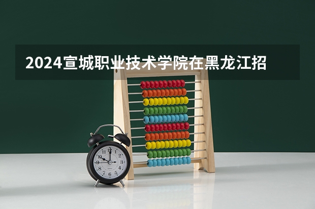 2024宣城职业技术学院在黑龙江招生计划一览表