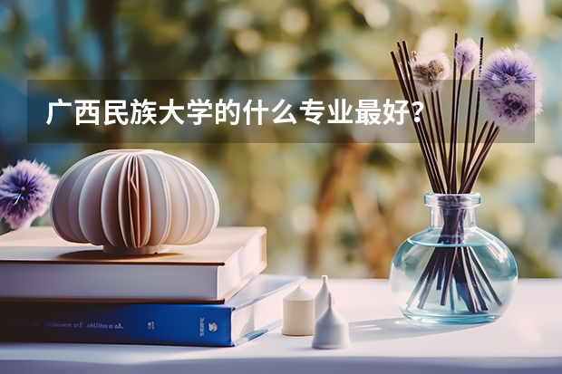 广西民族大学的什么专业最好？