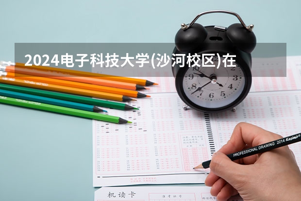 2024电子科技大学(沙河校区)在陕西招生计划一览表