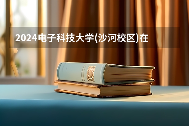 2024电子科技大学(沙河校区)在广东招生计划一览表