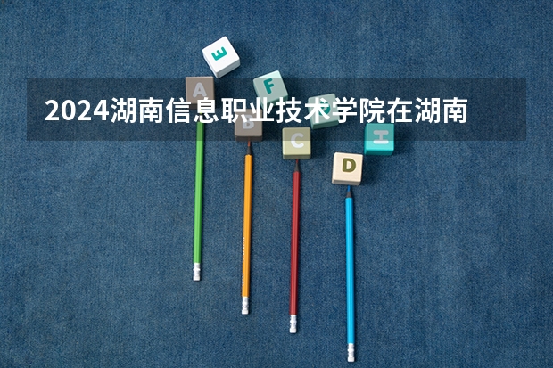 2024湖南信息职业技术学院在湖南招生计划一览表