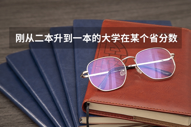 刚从二本升到一本的大学在某个省分数线会有大变化吗？