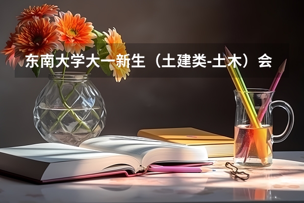 东南大学大一新生（土建类-土木）会在哪个校区。
