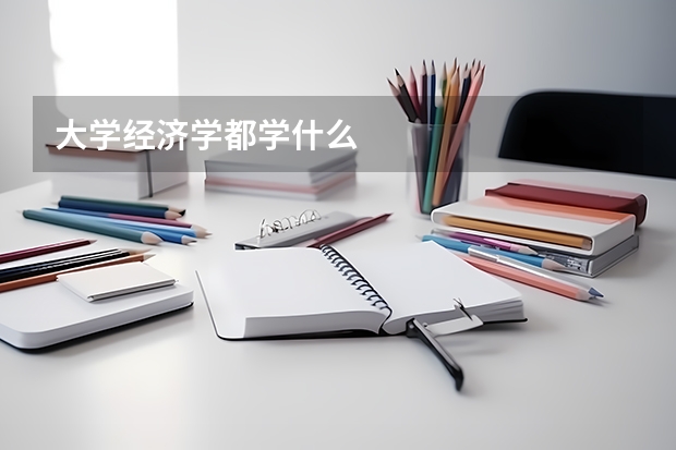 大学经济学都学什么