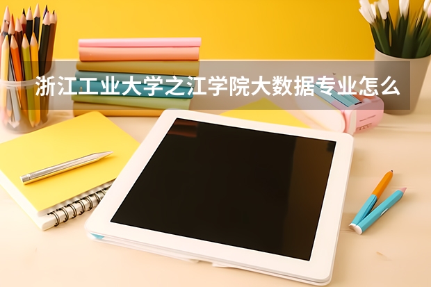 浙江工业大学之江学院大数据专业怎么样?