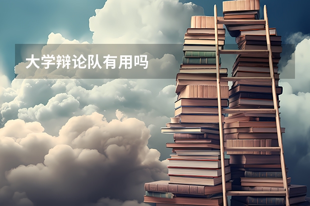 大学辩论队有用吗