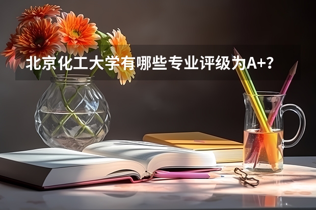 北京化工大学有哪些专业评级为A+？