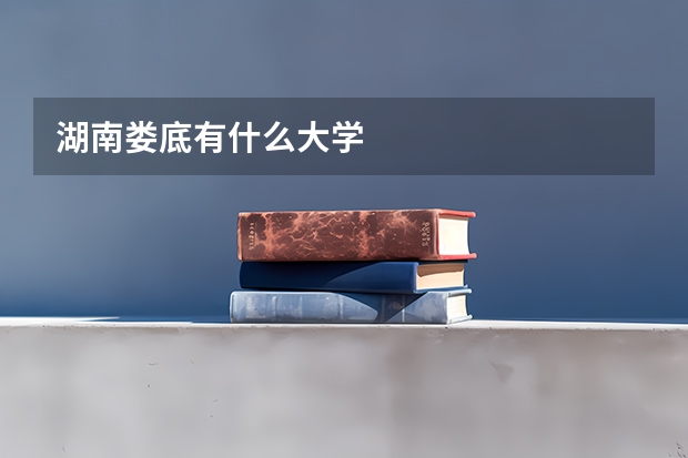 湖南娄底有什么大学