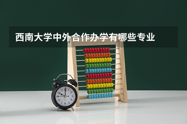 西南大学中外合作办学有哪些专业