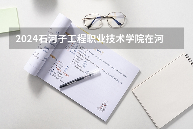 2024石河子工程职业技术学院在河北招生计划一览表