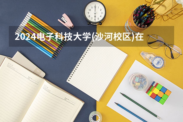 2024电子科技大学(沙河校区)在河北招生计划一览表