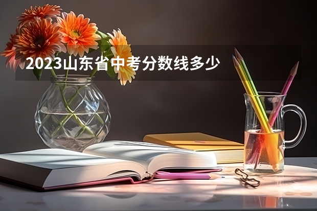 2023山东省中考分数线多少