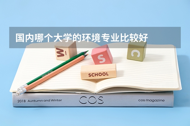 国内哪个大学的环境专业比较好