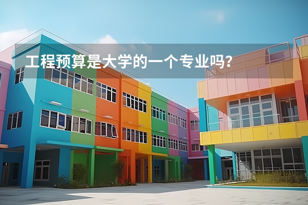 工程预算是大学的一个专业吗？