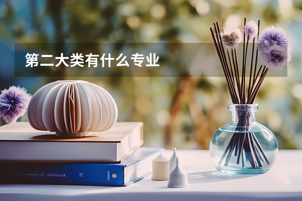第二大类有什么专业