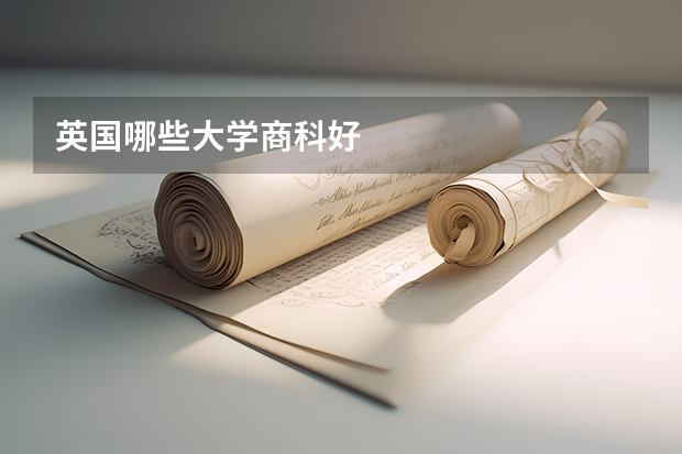 英国哪些大学商科好