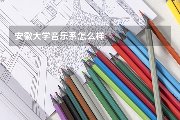 安徽大学音乐系怎么样