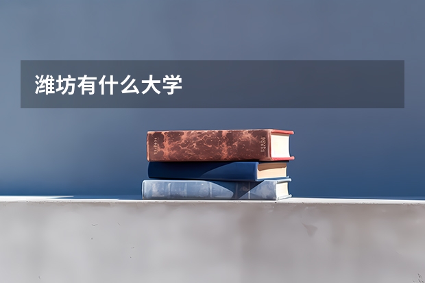 潍坊有什么大学